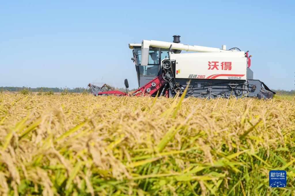 乐游棋牌有多坑人